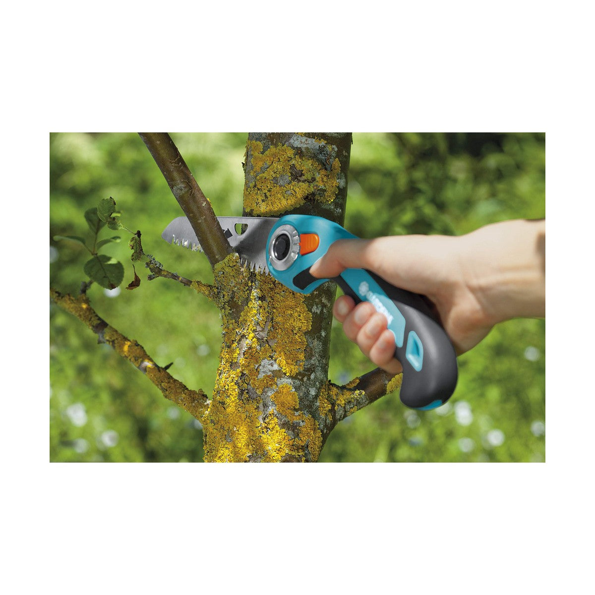 V8H9BFE7F830735EBA3AB52193325222DB8R3448004P3