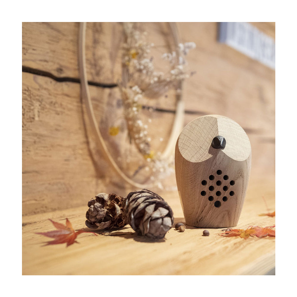 Alpklang – HUURI, Waldklang