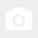 Clydesdale Fohlen