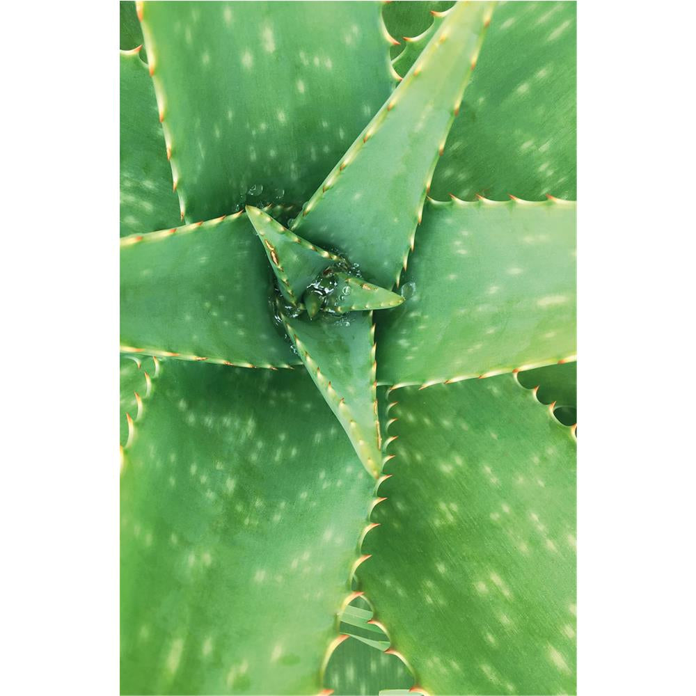 Khadi Wonder Hair Tonic – Ayurveda-Power für gesundes, volles Haar