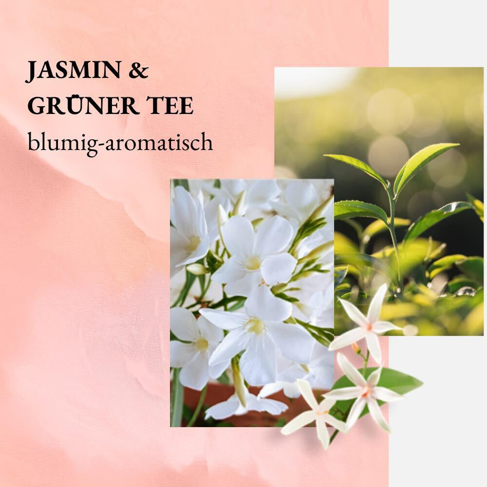 we:care² Nachfüllbeutel Duschgel – Jasmin & Grüner Tee