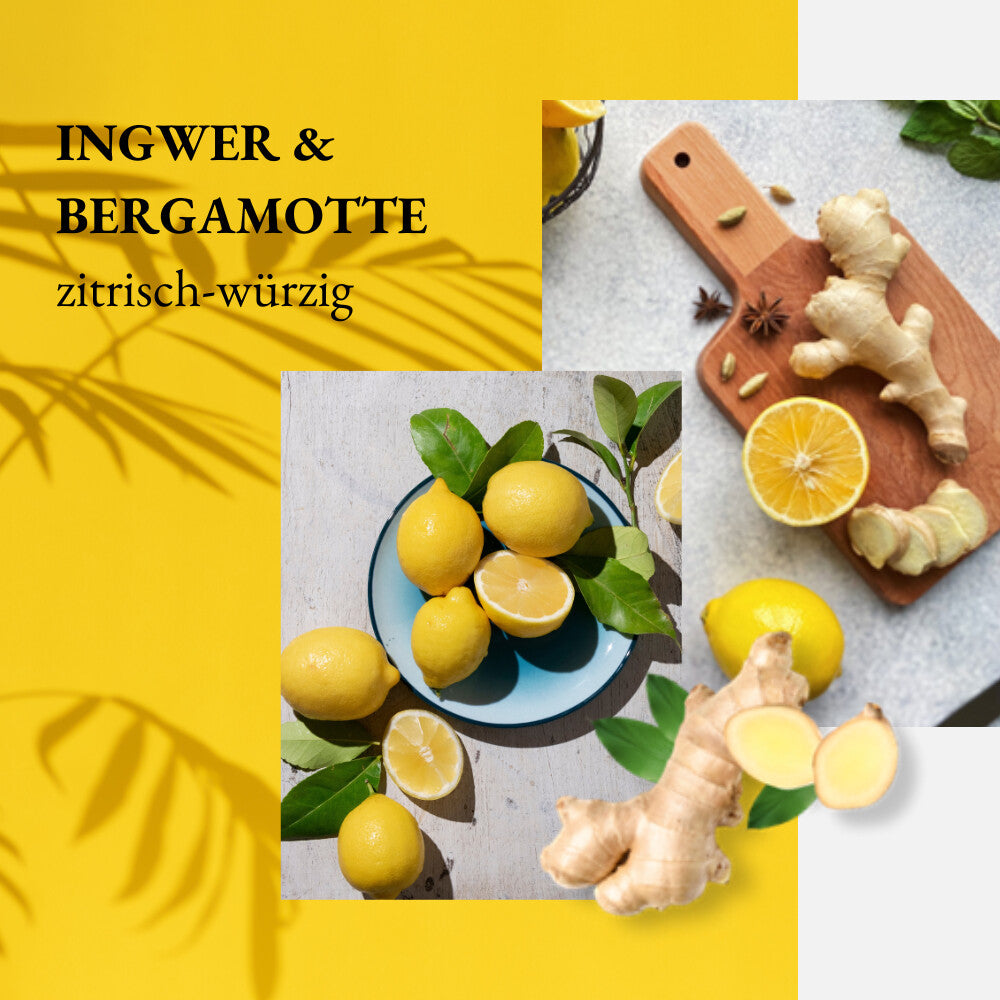 WE:CARE² Nachfüllbeutel Handseife – Ingwer & Bergamotte | 500 ml