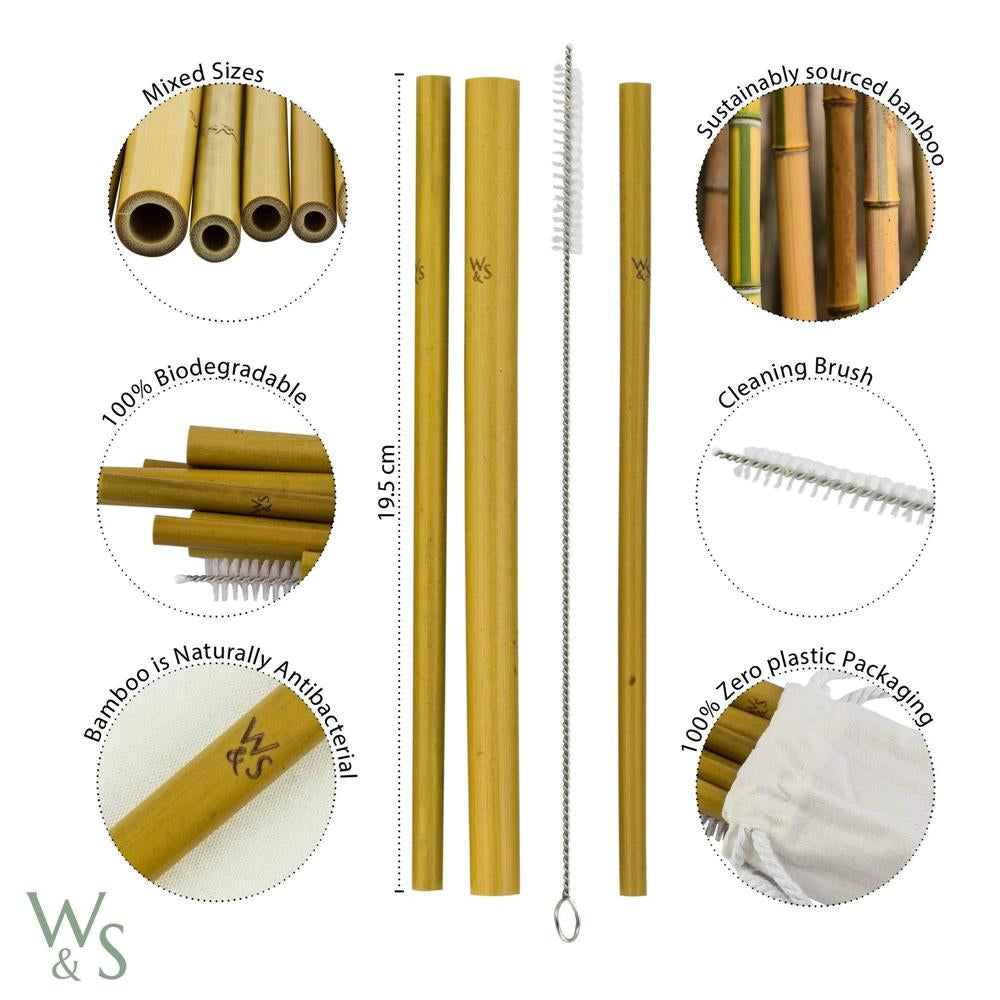 Wild & Stone Bambus Trinkhalme, Wiederverwendbar, 10er Pack – Eine umweltfreundliche Alternative