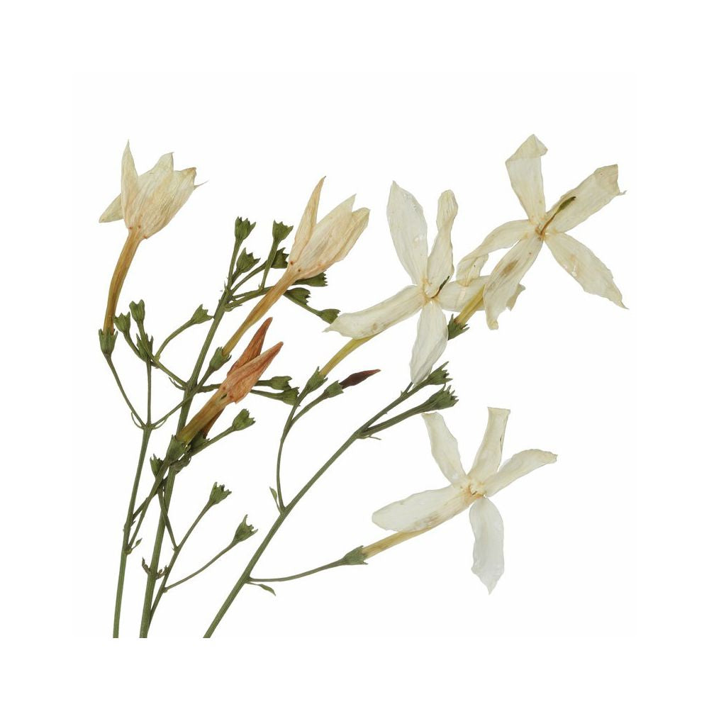 Aroma Spray Jasmin Abs