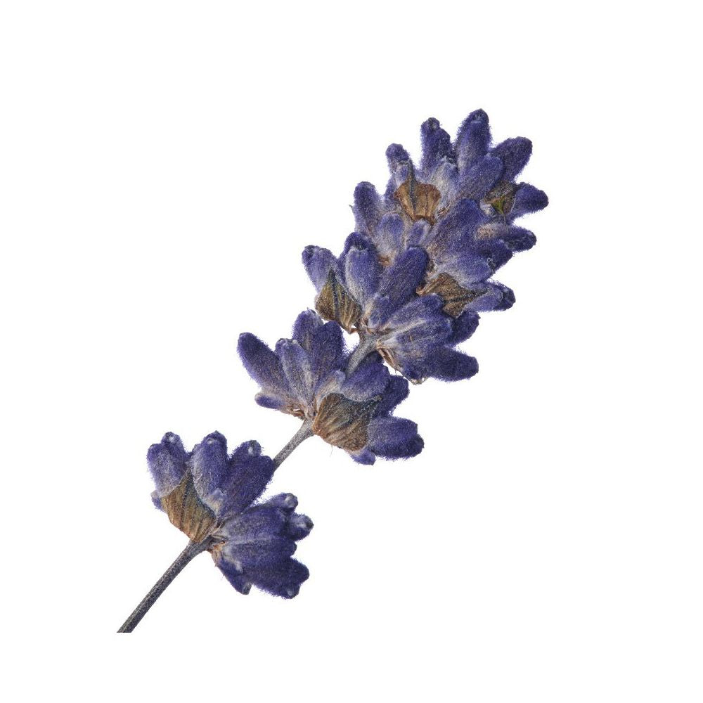 Aroma Spray Lavendel