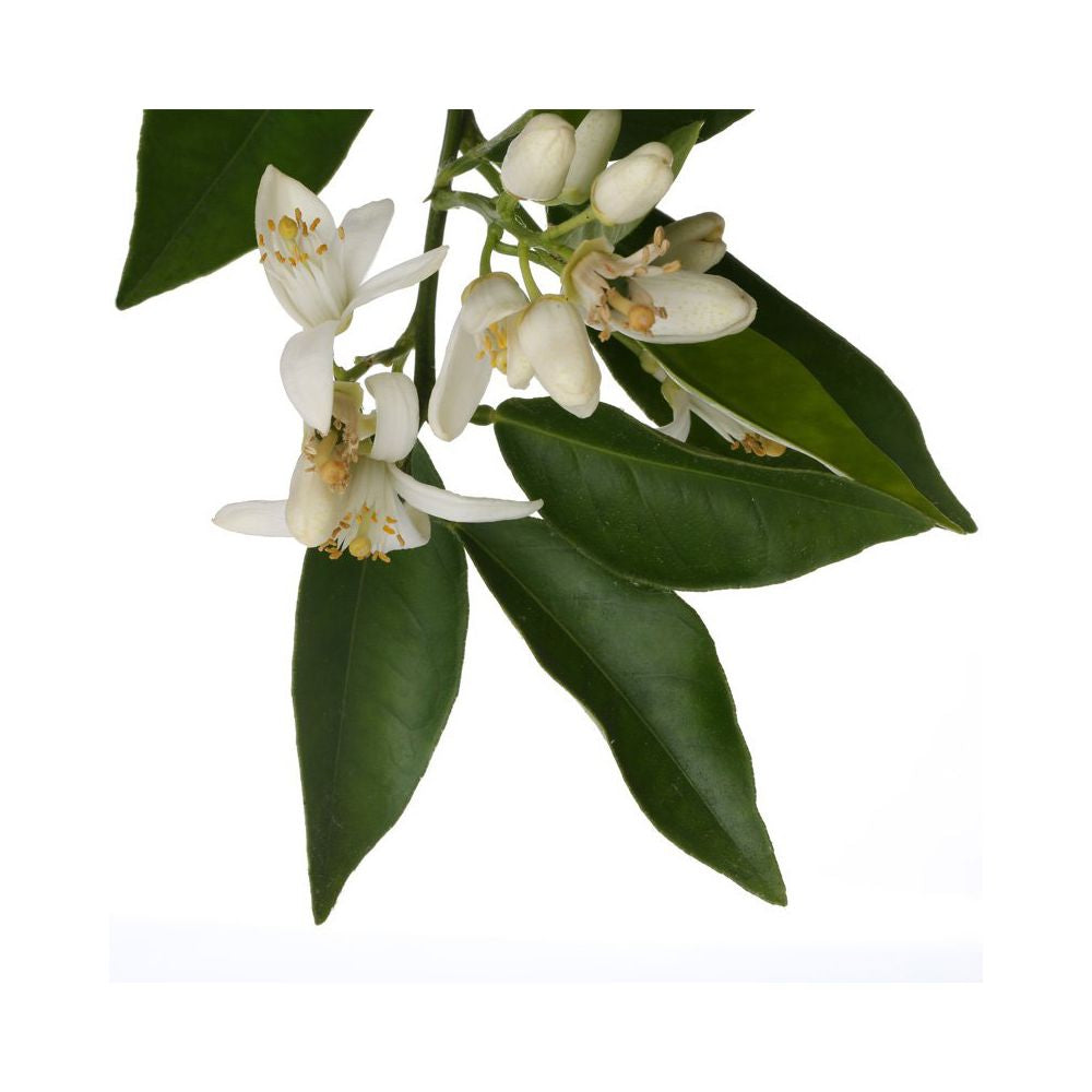 Aroma Spray Neroli, 15 ml