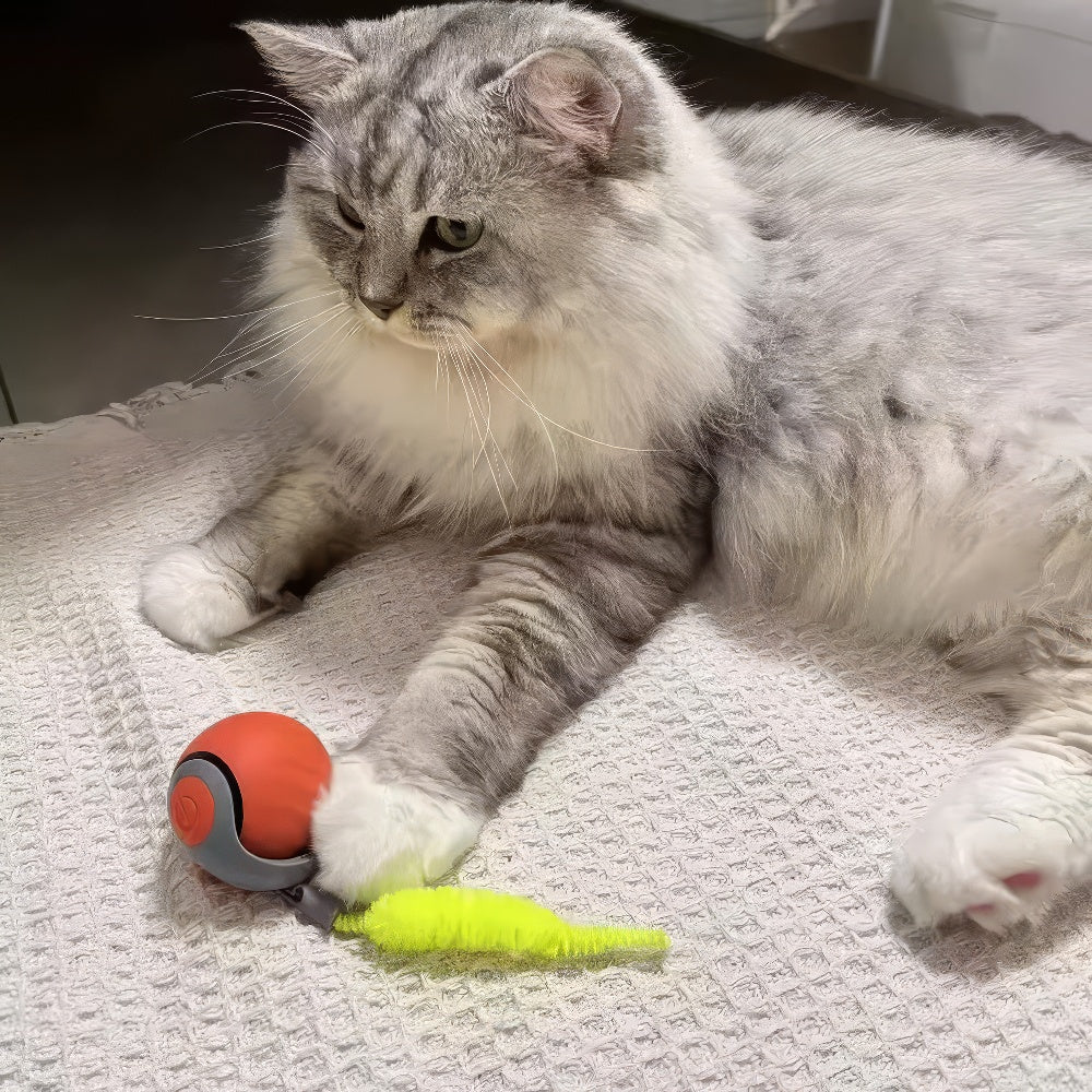 Speedy Katzenspielzeug-Ball Akku
